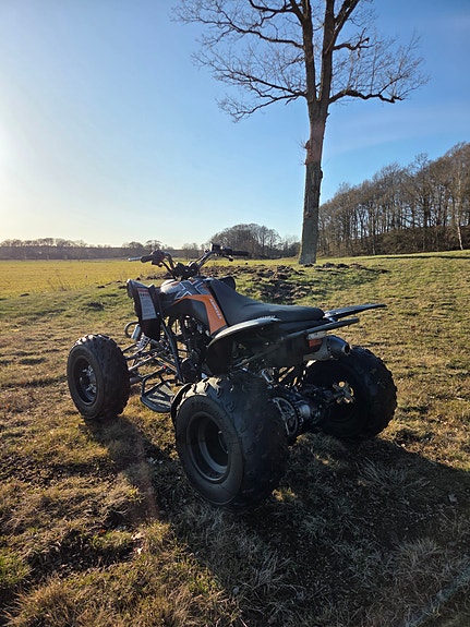 Viarelli Viarelli Agrezza ATV 250cc 2 of 3
