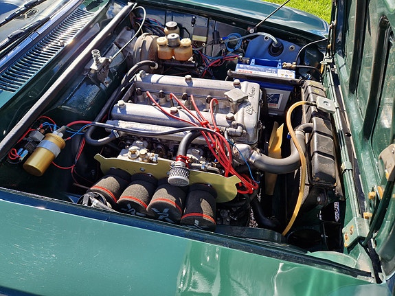 Alfa Romeo Giulia 1600 13 of 23