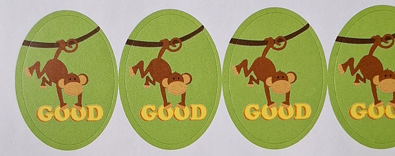 Product image 12 of 13