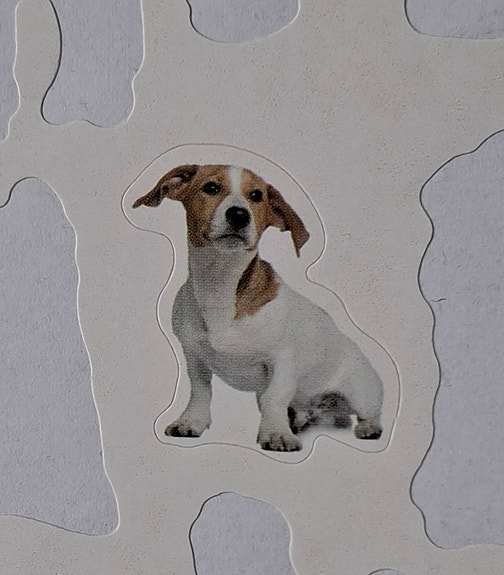 Product image 14 of 18