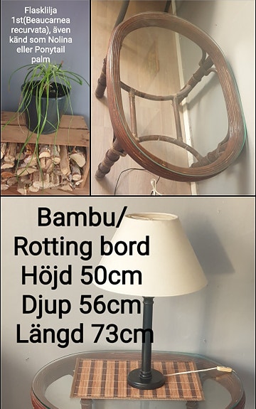 Product image 3 of 13