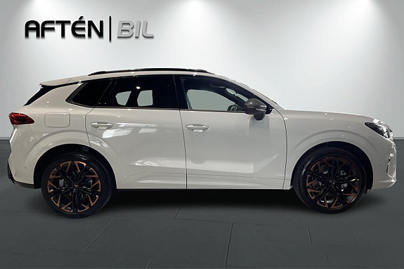 Cupra Terramar 7 of 30