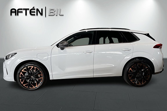 Cupra Terramar 6 of 30