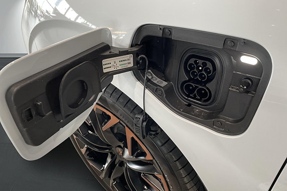 Cupra Terramar 30 of 30
