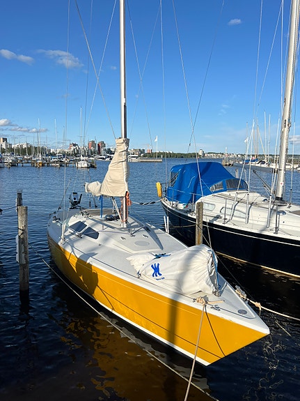 International 806 — View photo 1