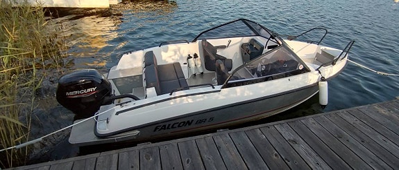 Falcon BR5 2019 / Mercury 80 Hk / 2019