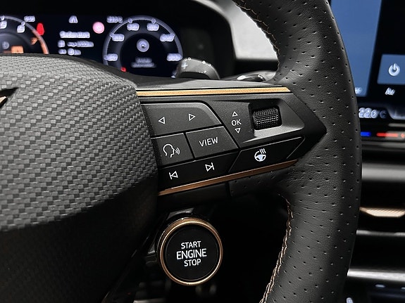 Cupra Terramar 12 of 16