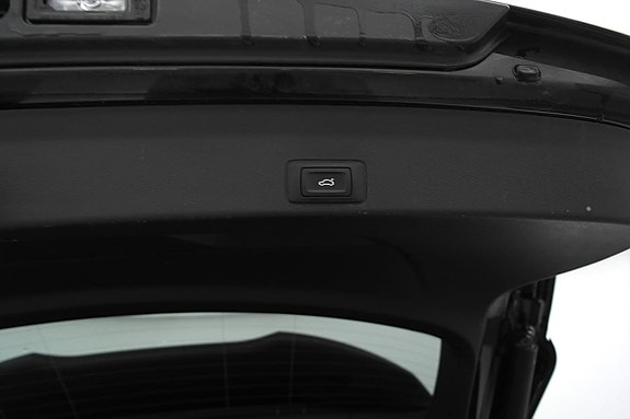 Cupra Terramar 23 of 23
