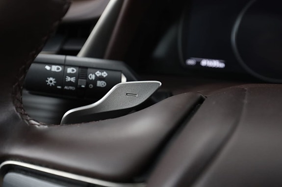 Lexus ES300h 29 of 30