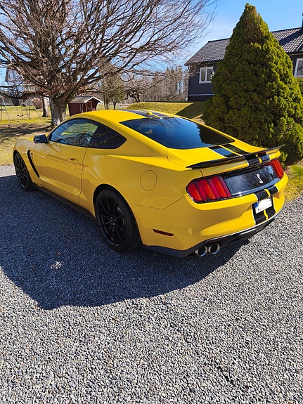 Ford Mustang 4 of 5