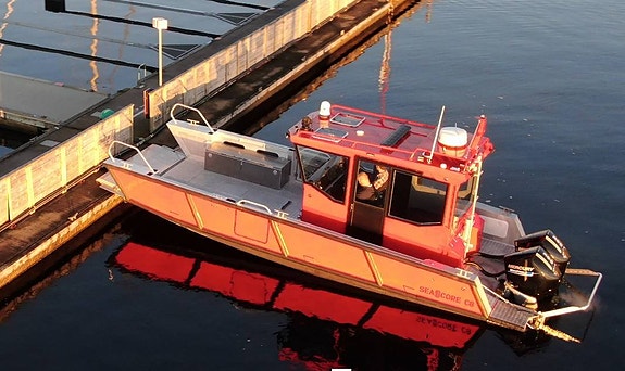 SEACORE C8 EX - Arbetsbåt / Transportbåt / Dykbåt / Brandbåt