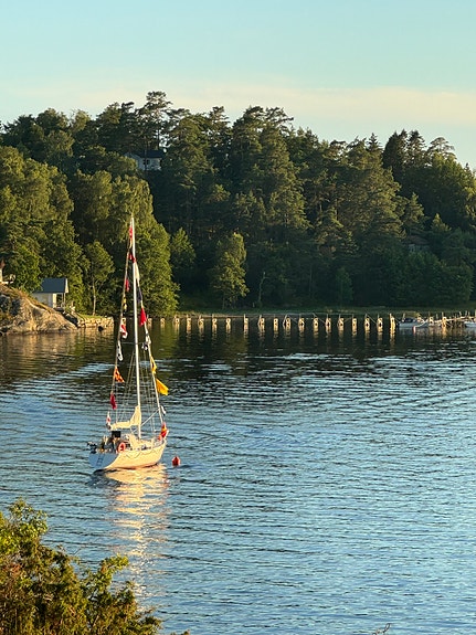 Albin Alpha — View photo 1