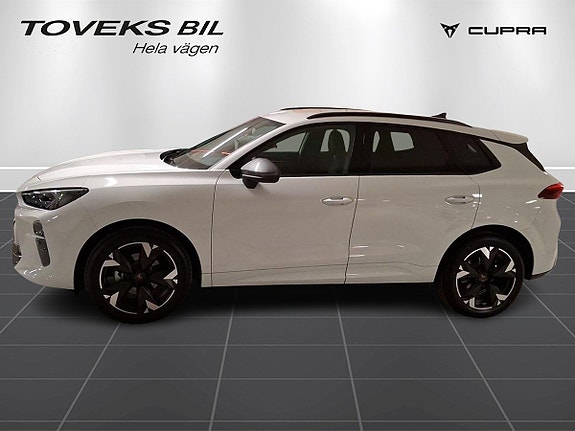 Cupra Terramar 4 of 15