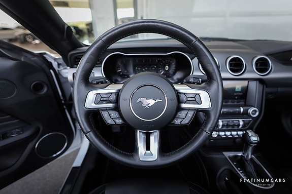 Ford Mustang 9 of 18