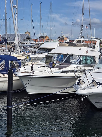 Forbina 9001 - Flybridge 2 of 5