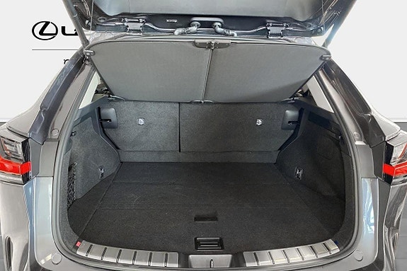 Lexus NX450h+ 10 of 10