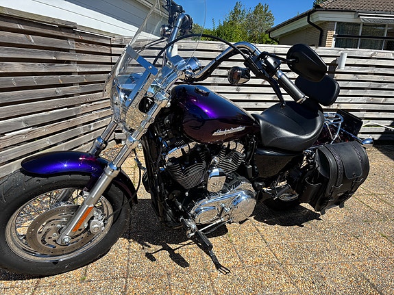 Harley-Davidson Sportster XL 1200 C 3 of 5