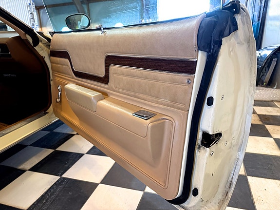 Pontiac LeMans 20 of 25