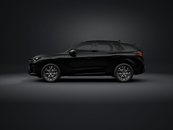 Cupra Terramar 2 of 5