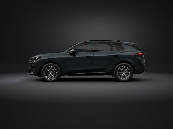 Cupra Terramar 2 of 5