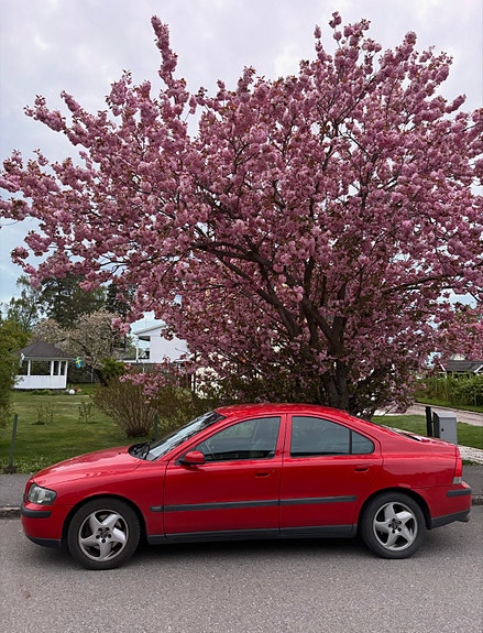 Brugt Volvo S60 2.5