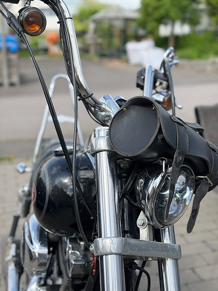 Harley-Davidson Low Rider 5 of 5