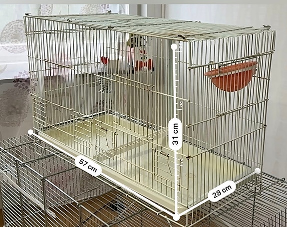 Product image 2 of 11