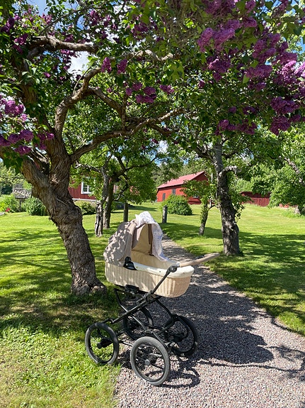 Product image 3 of 12