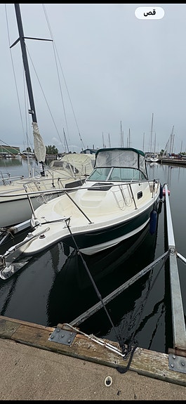 Bayliner Trophy 2052 2 of 5