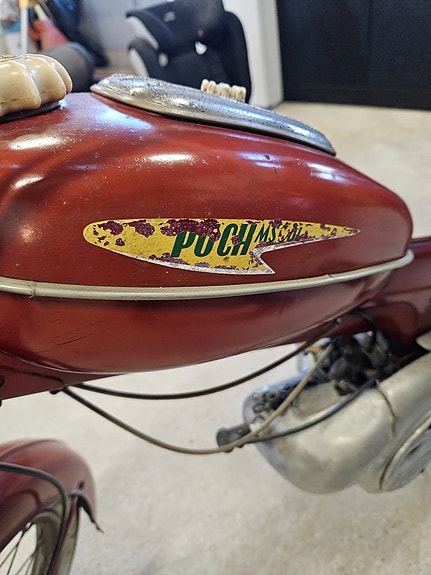 Puch MS50 L 3 of 3