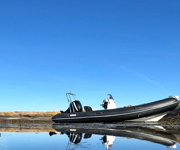 Brig 500L Falcon 2011 4 of 6
