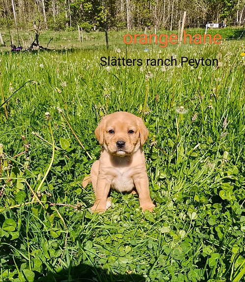 Product image 11 of 13