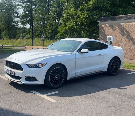 Ford Mustang 2 of 5