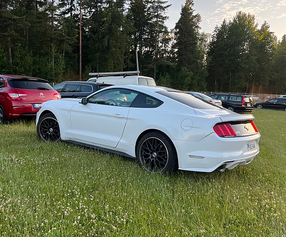 Ford Mustang 3 of 5
