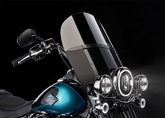 Harley-Davidson Heritage Classic 7 of 10