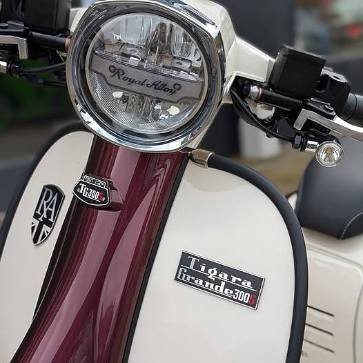 Royal Alloy TG 300 3 of 3
