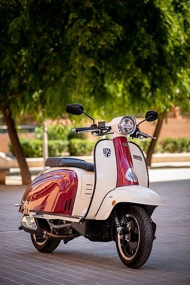 Royal Alloy TG 300