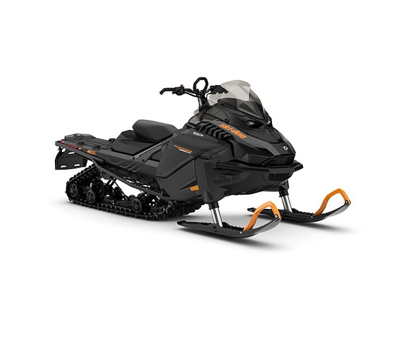Ski-Doo Tundra LE 600 ACE