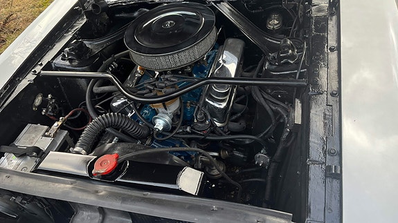 Ford Mustang 11 of 12