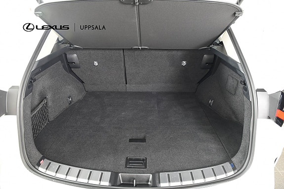 Lexus NX450h+ 10 of 21
