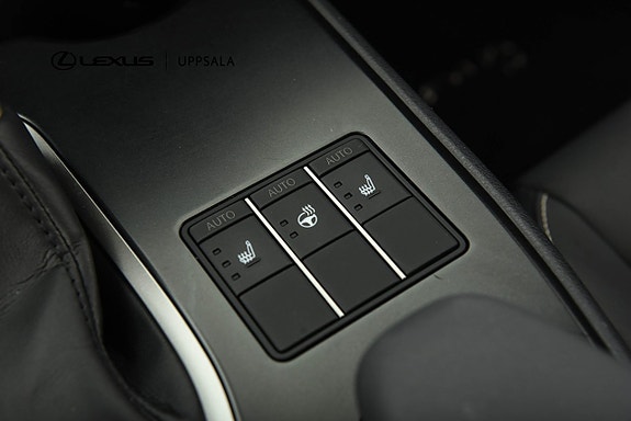 Lexus UX250h 19 of 21