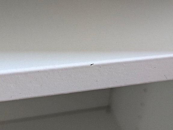 Product image 19 of 22