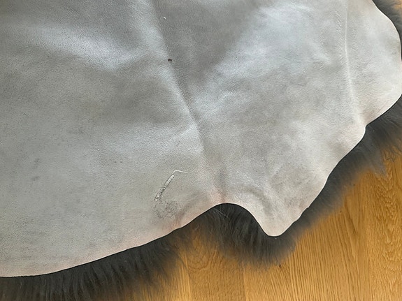 Product image 5 of 11