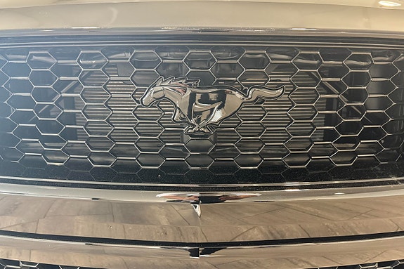 Ford Mustang 13 of 14