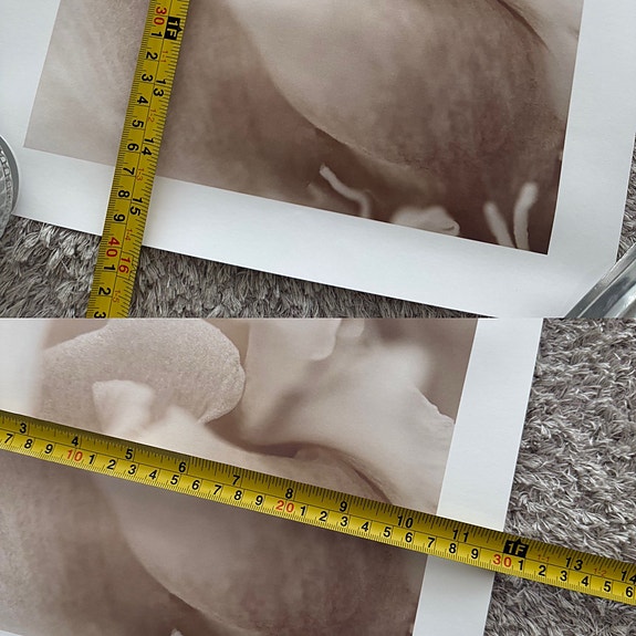Product image 12 of 14