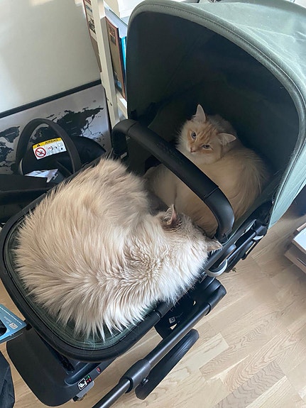 Product image 7 of 12