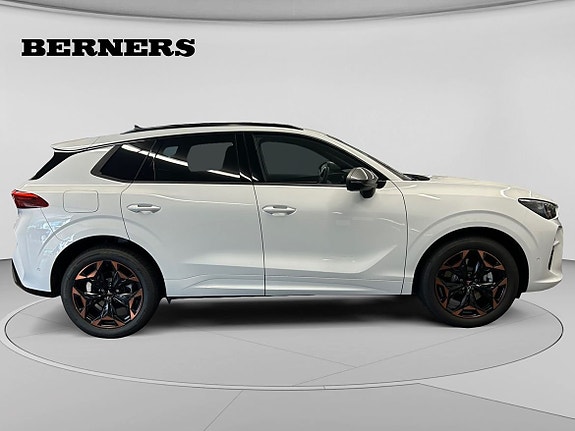 Cupra Terramar 6 of 15