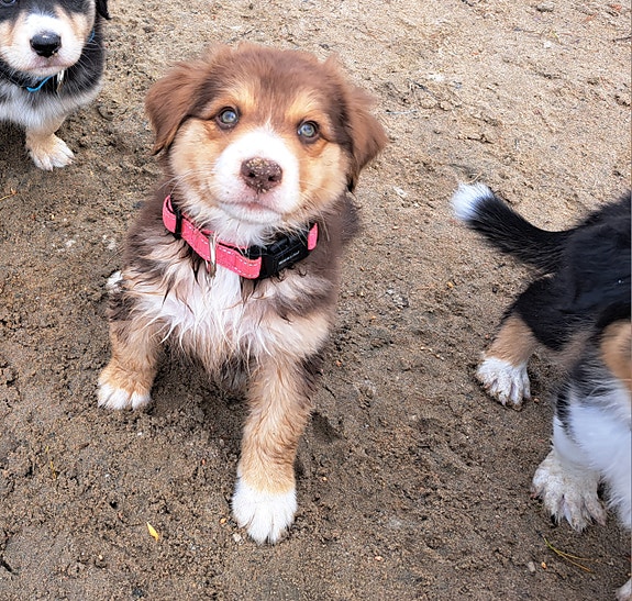 Product image 25 of 26
