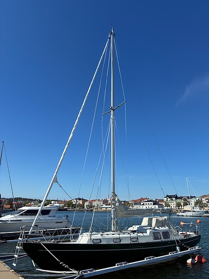 Bacchant IV — Vedi foto 1