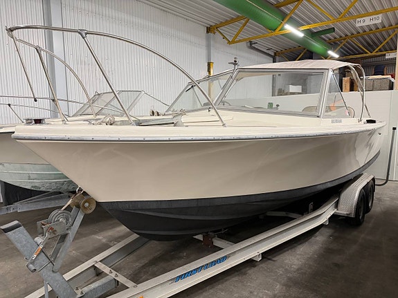 Bertram 25